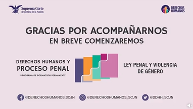 Derechos humanos y proceso penal: Ley penal y violencia de género.