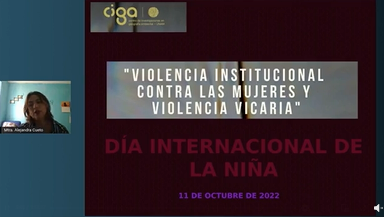 Violencia institucional contra las mujeres y violencia vicaria.