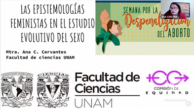 Semana por la Despenalización del aborto. Las epistemologías feministas en el estudio evolutivo del sexo.