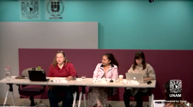 Coloquio. Retos y rutas para transversalizar la perspectiva de género en el derecho. Conferecia Magistral. ¿Por qué es necesario transversalizar las perspectivas feministas y de género en el derecho?