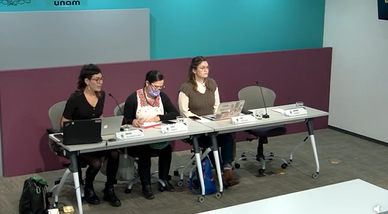 Coloquio. Retos y rutas para transversalizar la perspectiva de género en el derecho. Conversatorio 3. ¿Qué exige la sociedad civil del Derecho?.