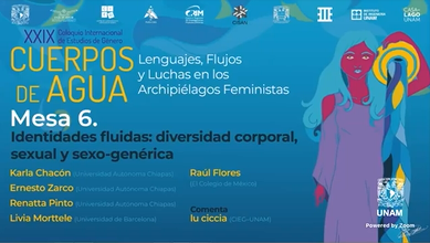 XXIX Coloquio Internacional de Estudios de Género. Cuerpos de Agua. Lenguajes, Flujos y Luchas en los Archipiélagos Feministas. Mesa 6.
