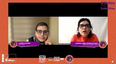 25N 2022. Jueves para la Igualdad. Videoconferencia. Feminismos, violencia de género y protesta en México.