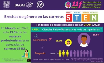 11F. Infografías. Brechas de género en las carreras STEM.